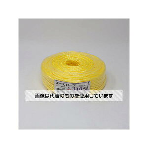 AY(AS ONE) G[X[v310  F1