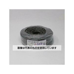 AY(AS ONE) G[X[v310  F1