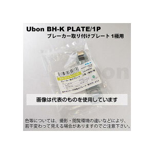 AY(AS ONE) d՗pՒf tv[g 1ɗp BH-K PLATE/1P F1