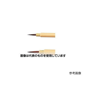 �A�Y����(AS ONE) [��] �f�U�C���ʑ��M(����) EA109MK-411 �����F1�{