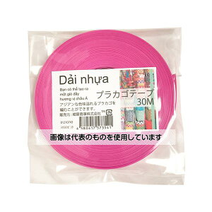  vJSe[v 30M VNsN 01210743 F1