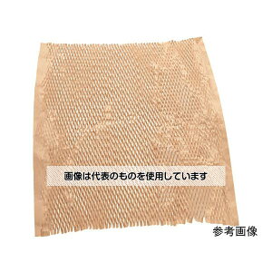 gXRR ɏՍ NbVy[p[ 250×300 100 CP2530100 F1(100)