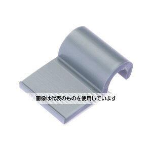 phECbgR[|[V ŒR[hNbv SnSe[vt O[(100) A1C25-A-C8 F1(100)