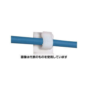 phECbgR[|[V Œ R[hNbv SnSe[vti`1000 ACC19-A-M F1(1000)