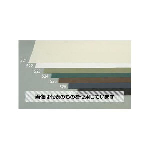 GXR 1.1x 5m/0.55mm Ȕz(11/_[NO[) EA911AK-524 F1