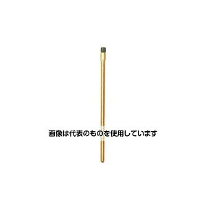 �A�Y����(AS ONE) 19.0x100mm �����p���d�u���V(�n��) EA109AH-43 �����F1�{