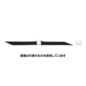 TTvC I/ObNWCg RCAsWbNpvOΉ CA-NB012 F1