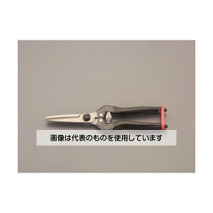 GXR 200mm \͂(XeX) EA540CE-1 F1