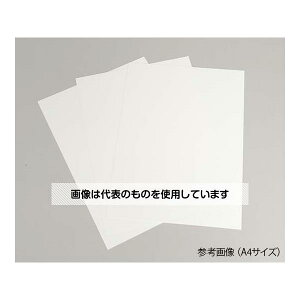 AY(AS ONE) nVbNCV(sDz^Cv) NW-MX3 A4TCY F1