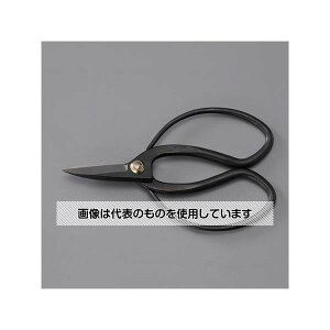 AY(AS ONE) 180mm ͂݁EA EA540BG-21 F1{