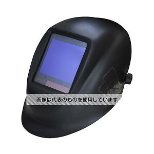 X^[d퐻 #5-#13 Ռnږ(u[tB^[) EA800PV-21 F1