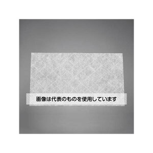 AY(AS ONE) 500x 750mm GAtB^[(S/6) EA997PS-81 F1pbN(6)