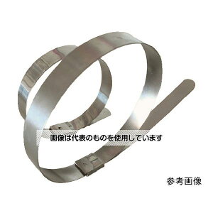 デンカエレクトロン ステンレスバンド 600mm×10本入 DKST-60046-316 入数:1袋(10本入)