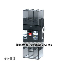 テンパール工業 中性線欠相保護付漏電遮断器 125A W2 U22301EA12W2V 入数：1個