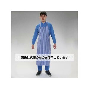 AY(AS ONE) 100x 70cm Gv(Ɨp) EA355AS-31 F1