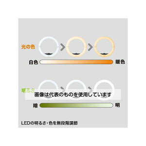 AY(AS ONE) LEDƖ(X^ht/WEBJp) EA761XL-17 F1