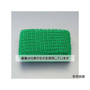 �A�Y����(AS ONE) 2.0x3.0m �z�[���l�b�g EA952AD-53A �����F1��