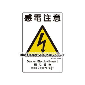 AY(AS ONE) 450x300mm ЖhSW(d) EA983BV-104 F1