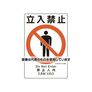 AY(AS ONE) 450x300mm ЖhSW(֎~) EA983BV-106 F1