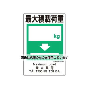 AY(AS ONE) 450x300mm ЖhSW(őύډ׏d) EA983BV-108 F1