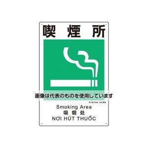 AY(AS ONE) 450x300mm ЖhSW(i) EA983BV-110 F1