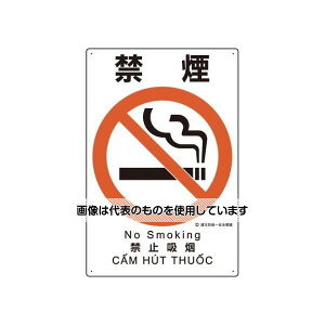 AY(asone) 450x300mm ЖhSW(։) EA983BV-111 1