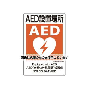 AY(AS ONE) 450x300mm ЖhSW(AEDݒuꏊ) EA983BV-116 F1