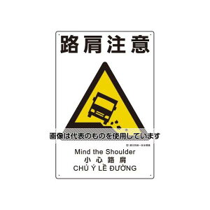 AY(AS ONE) 450x300mm ЖhSW(H) EA983BV-121 F1