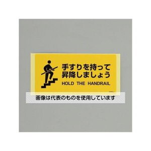 AY(AS ONE) 100x200mm SWXebJ[(肷`) EA983CC-166 F1