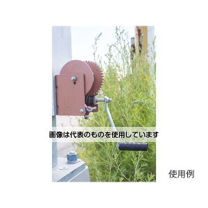 AY(AS ONE) 907kg nhEB`(EH[MA) EA989RD-41 F1