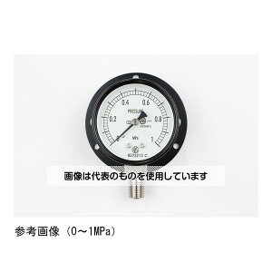 ����v�� ���ʌ`���͌v(��60) ���`B�g 0.6MPa AA10-273 �����F1��