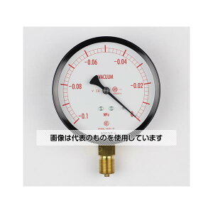 v ʌ`͌v(100) ^v(v) `Ag ϐUp -0.1`0MPa AE20-131 F1