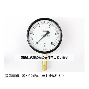 v ^͌v(100) `Ag -0.1`0.5MPa BE10-131 F1