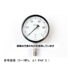 v ^͌v(100) `Ag 6MPa BE10-133 F1