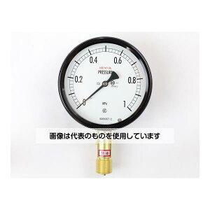 v ^͌v(100) ֖ `Ag 1MPa BE12-141 F1