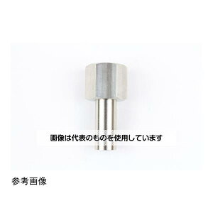 v WCg G3/8×10 SUS FJ20-303 F1