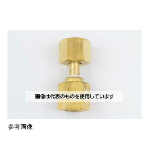 v WCg G3/8×Rc3/8  FJ31-381 F1