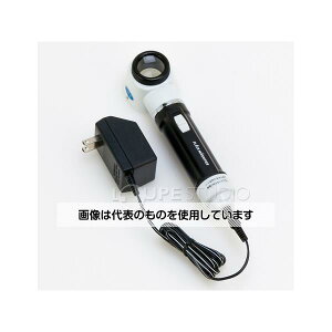 rcYH tbV[y 10{(ACA_v^[) M-100AC F1