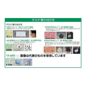 AY(AS ONE) [DS2] }XN(hop/1) EA800MB-31 F1