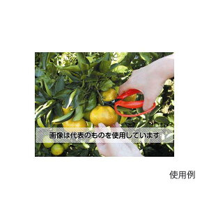 AXR[|[V 140mm ͂݁E̎(n) EA540AA-6 F1