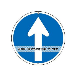 AY(AS ONE) 600mm \W[i] EA983AE-15 F1