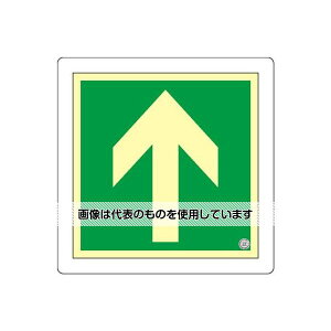 AY(AS ONE) 300x300mm [~]pUW EA983AH-16 F1