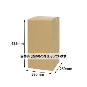 AY(AS ONE)  ꏡr4{ lłz 20 K-1301 F1P[X(20)