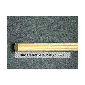 �A�Y����(AS ONE) 10x 600mm �����ۖ_(����) EA441BB-10 �����F1�{