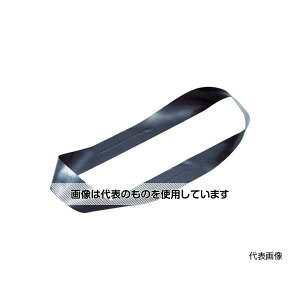 gXRR Soh pohO 20mm×܌a300mm ubN 10{ TRBR20300BK F1(10{)