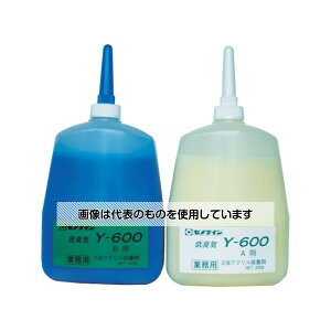 Z_C ANnڒ ^bN Y600 600gZbg AY-020 F1Zbg