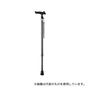 tWz[ WB3744 邪 I LkSEMp 璹iq