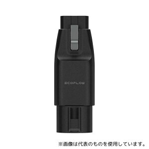 EcoFlow DELTAProCC-LV EVA_v^[