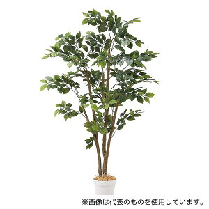 AY 61-806-80-1 }EeAbV(tFCNO[ lH)150cm