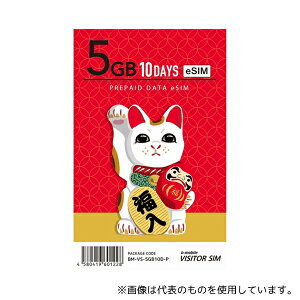 {ʐM BM-VS-5GB10D-P b-mobile VISITOR SIM 5GB/10Days Prepaid eSIM pack